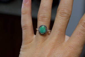 Royston Turquoise Ring; size 6.5