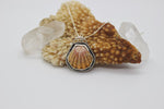 Load image into Gallery viewer, SALE* Hawaiian Sunrise Shell Necklace
