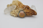 Load image into Gallery viewer, SALE* Hawaiian Sunrise Shell Necklace
