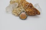 Load image into Gallery viewer, SALE* Hawaiian Sunrise Shell Necklace
