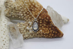 Load image into Gallery viewer, Rainbow Moonstone Necklace
