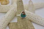 Load image into Gallery viewer, Evans Turquoise Ring; size 7
