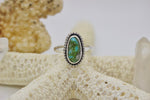 Load image into Gallery viewer, Sonoran Gold Turquoise Ring; size 8
