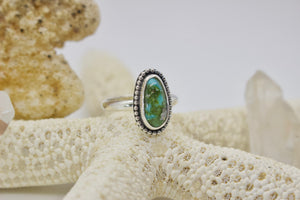 Sonoran Gold Turquoise Ring; size 8