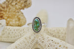 Load image into Gallery viewer, Sonoran Gold Turquoise Ring; size 8
