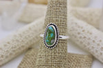 Load image into Gallery viewer, Sonoran Gold Turquoise Ring; size 8
