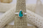 Load image into Gallery viewer, Sonoran Gold Turquoise Ring; size 5.75
