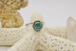 Load image into Gallery viewer, Sonoran Gold Turquoise Ring; size 7.25
